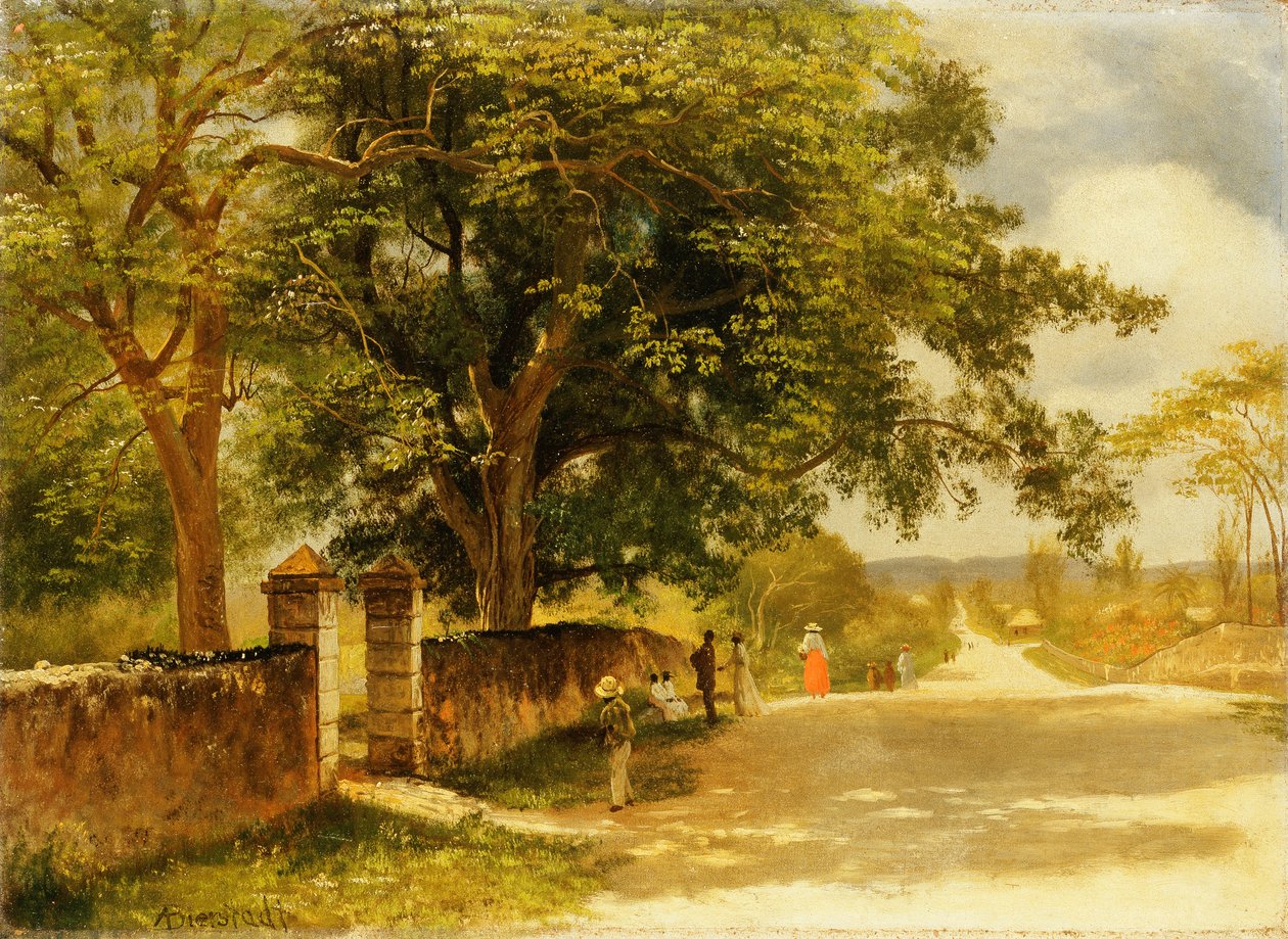 شارع في ناسو ، c.1878 بواسطة ألبرت بيرشتات