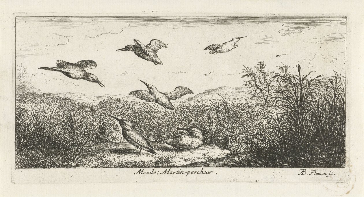 المناظر الطبيعية مع kingfishers Alcedo. مارتن بيبي. (العنوان على الكائن) كتاب الطيور (عنوان السلسلة) Livre d