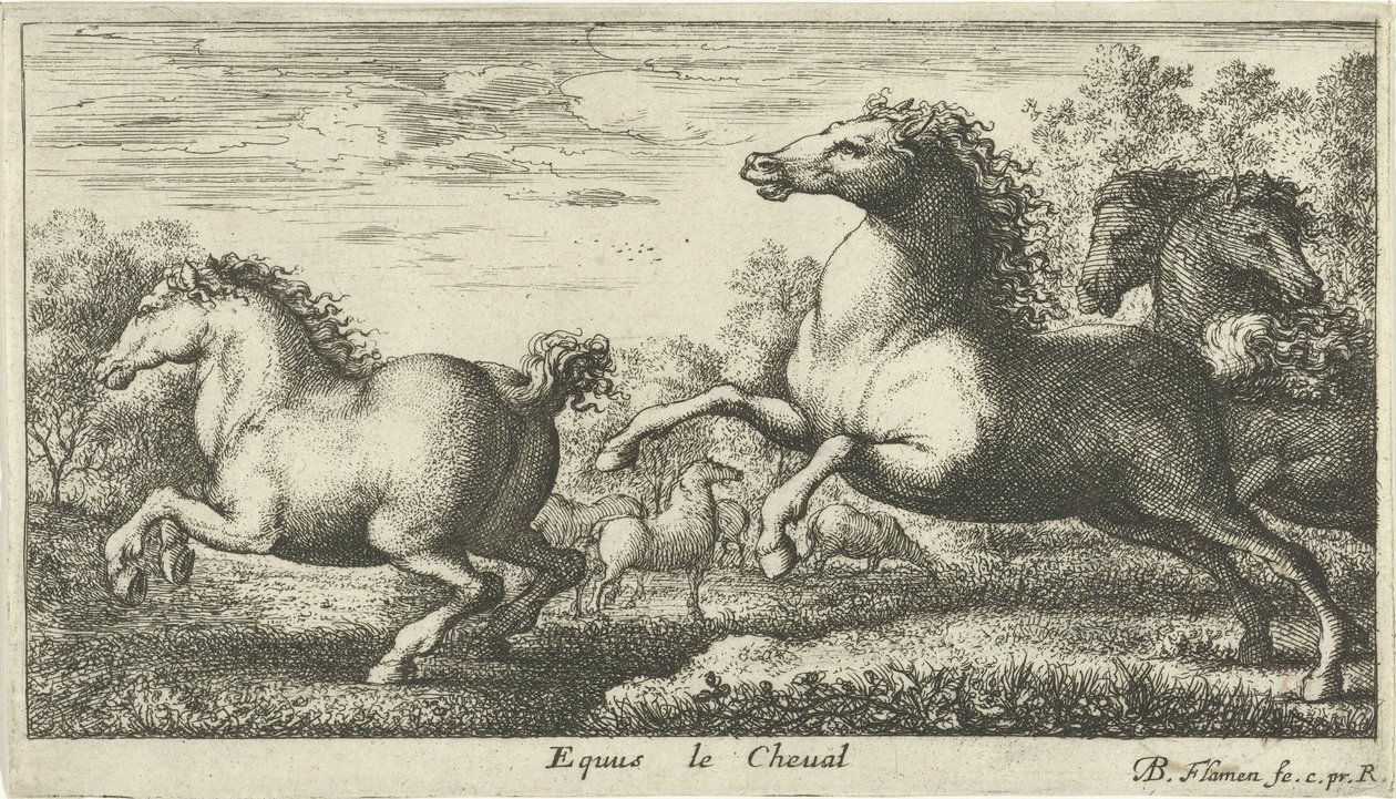 خيل Equus le Cheval (العنوان على الكائن) أنواع الحيوانات المختلفة (عنوان السلسلة) بواسطة ألبرت فلمش
