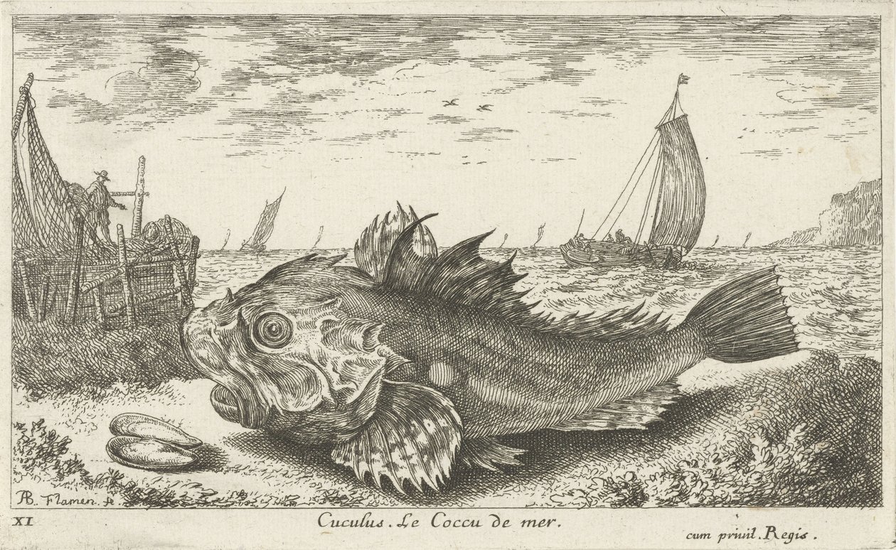 بون على الشاطئ كوكولوس. Le Coccu de Mer (العنوان على الكائن) الأسماك والمخلوقات البحرية الأخرى - السلسلة الأولى للمياه المالحة (عنوان السلسلة) Diverses Especes de Poissons de Mer (عنوان السلسلة) بواسطة ألبرت فلمش