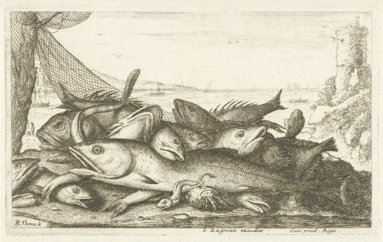 صيد السلطعون الناسك أنواع الأسماك المختلفة (عنوان السلسلة) Diverses Especes De Poissons tant de Mer، que d