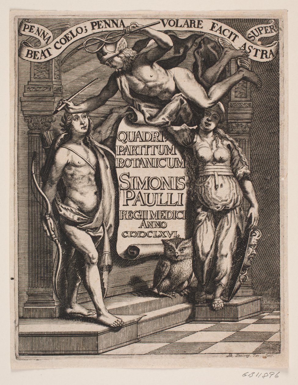 Titelblad til Simon Paulli ، "Quadripartitum Botanicum" ، 1667 بواسطة ألبرت هيلفيغ