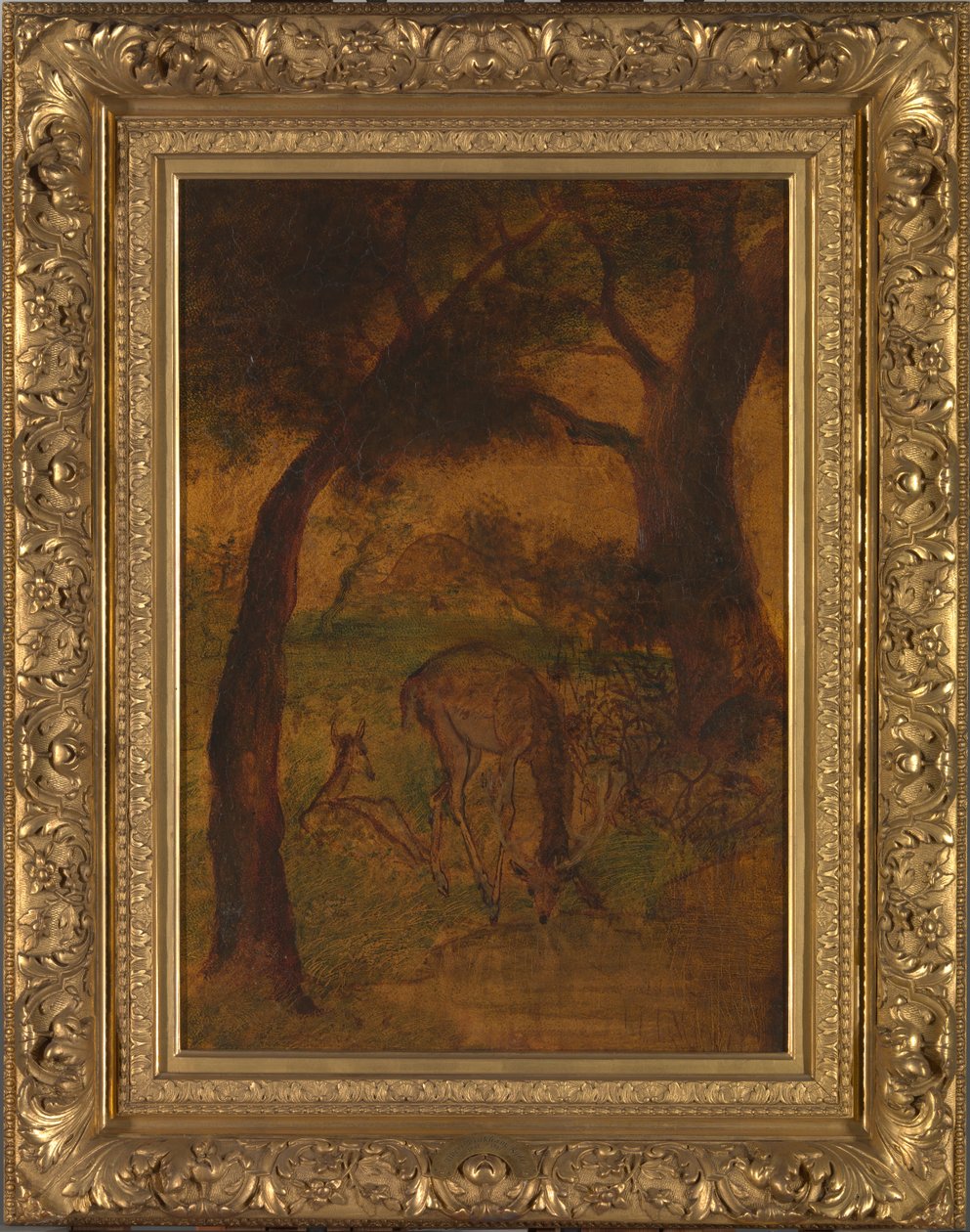 شرب الأيل ، كاليفورنيا. 1870s. بواسطة ألبرت بينكهام رايدر