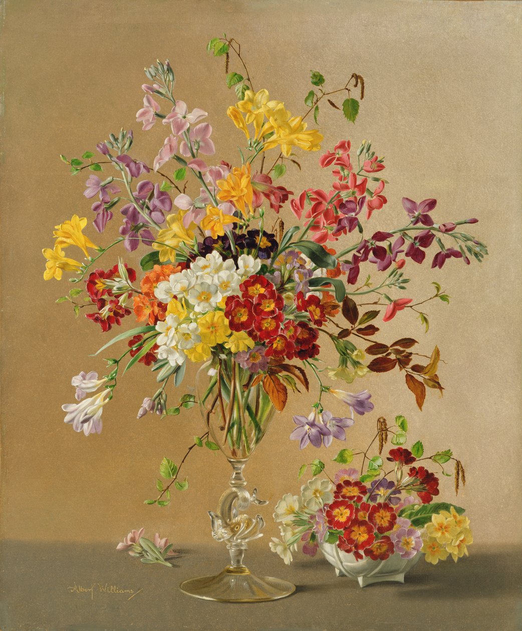 AW243 فريزيا و Primroses بواسطة ألبرت ويليامز