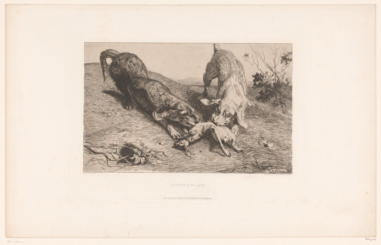 كلبان من الكلاب الألمانية يمزقان أرنبًا La Curée d'un lapin (العنوان على الكائن) بواسطة ألبرت دي بالروي