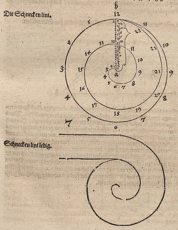 Archimedische Spirale بواسطة ألبريشت دورر