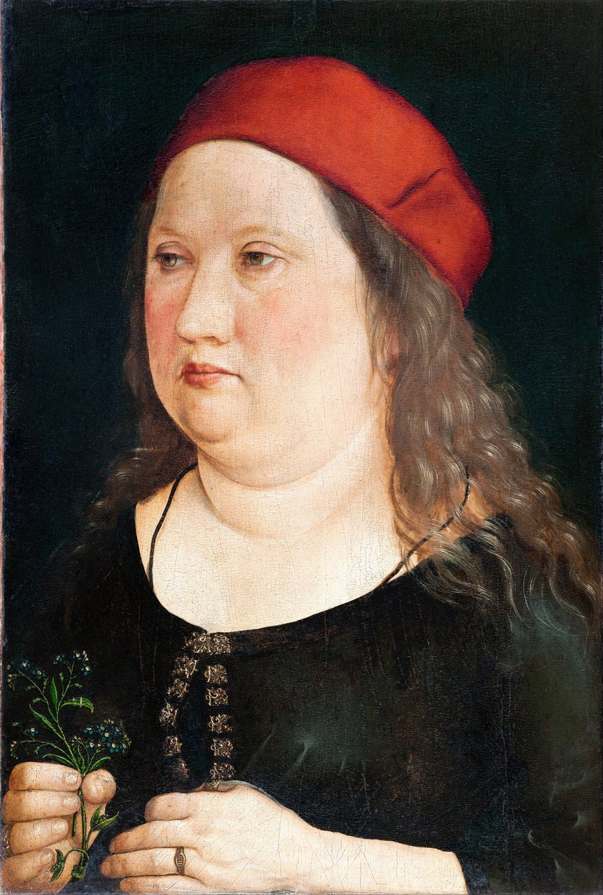 حاضنة غير معروفة بواسطة Albrecht (Attr. To) Durer أو Duerer