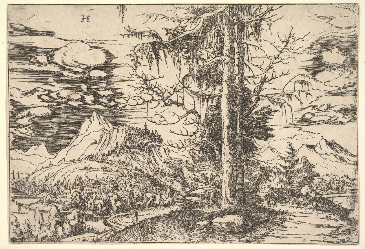 المناظر الطبيعية مع شجرة التنوب المزدوج ، كاليفورنيا. 1521-22. بواسطة ألبريشت التدورفر
