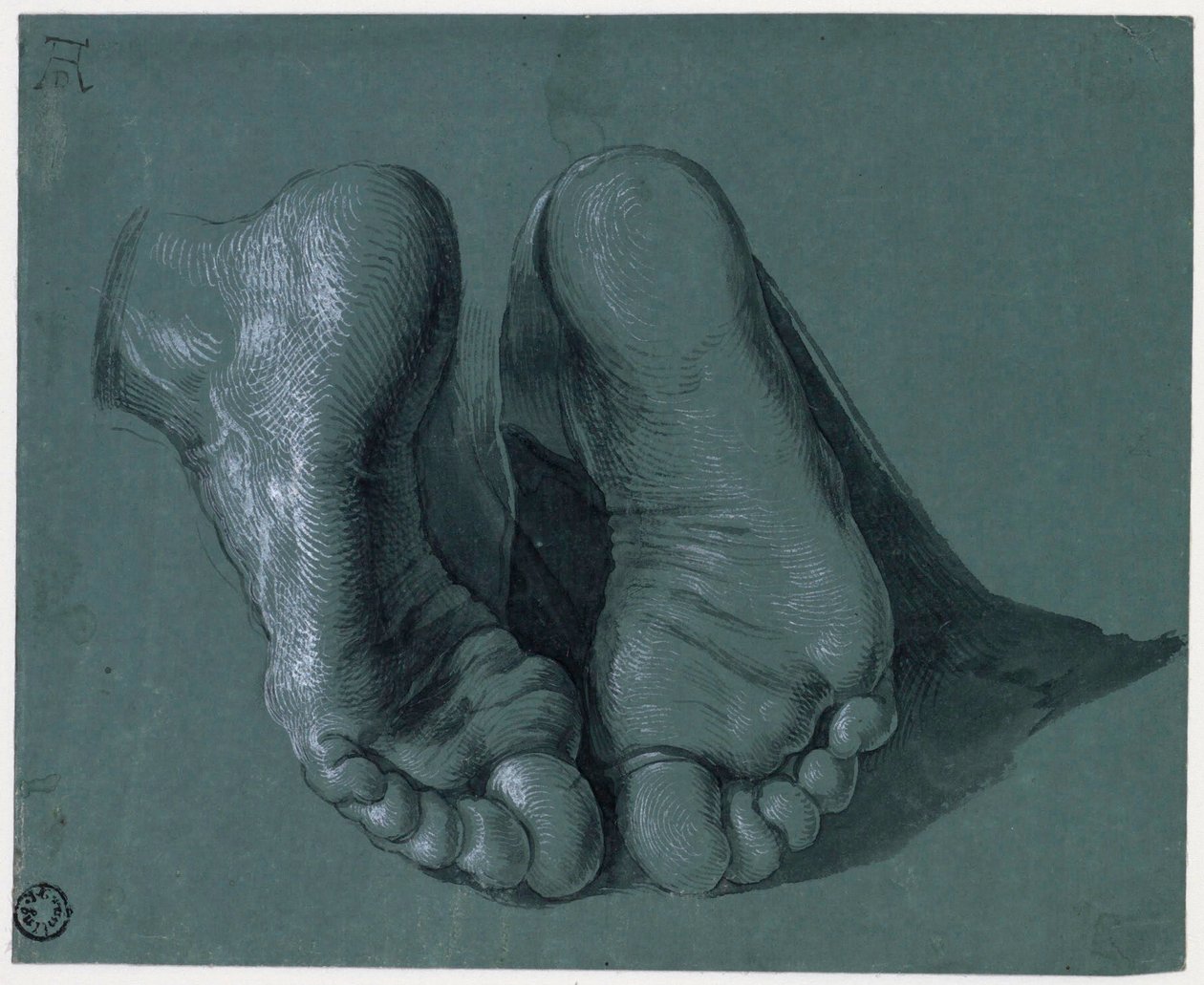 Etude de pieds - دراسة قدمين - رسم ألبرشت دورر (1471-1528) ، ألوان مائية ، لون أبيض ، طباشير أسود على ورق ، c1508 (17.6x21.6 سم) - متحف Boijmans Van Beuningen ، روتردام بواسطة ألبريشت دورر