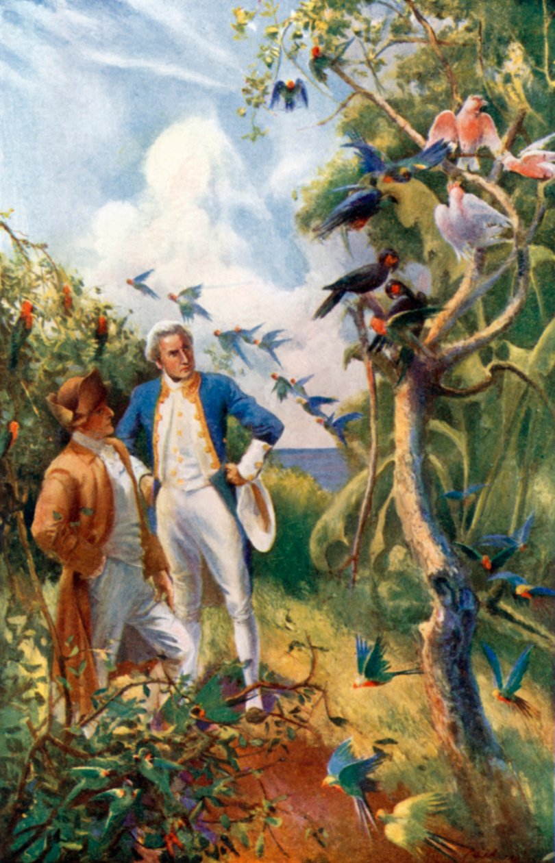  بواسطة أليك بول