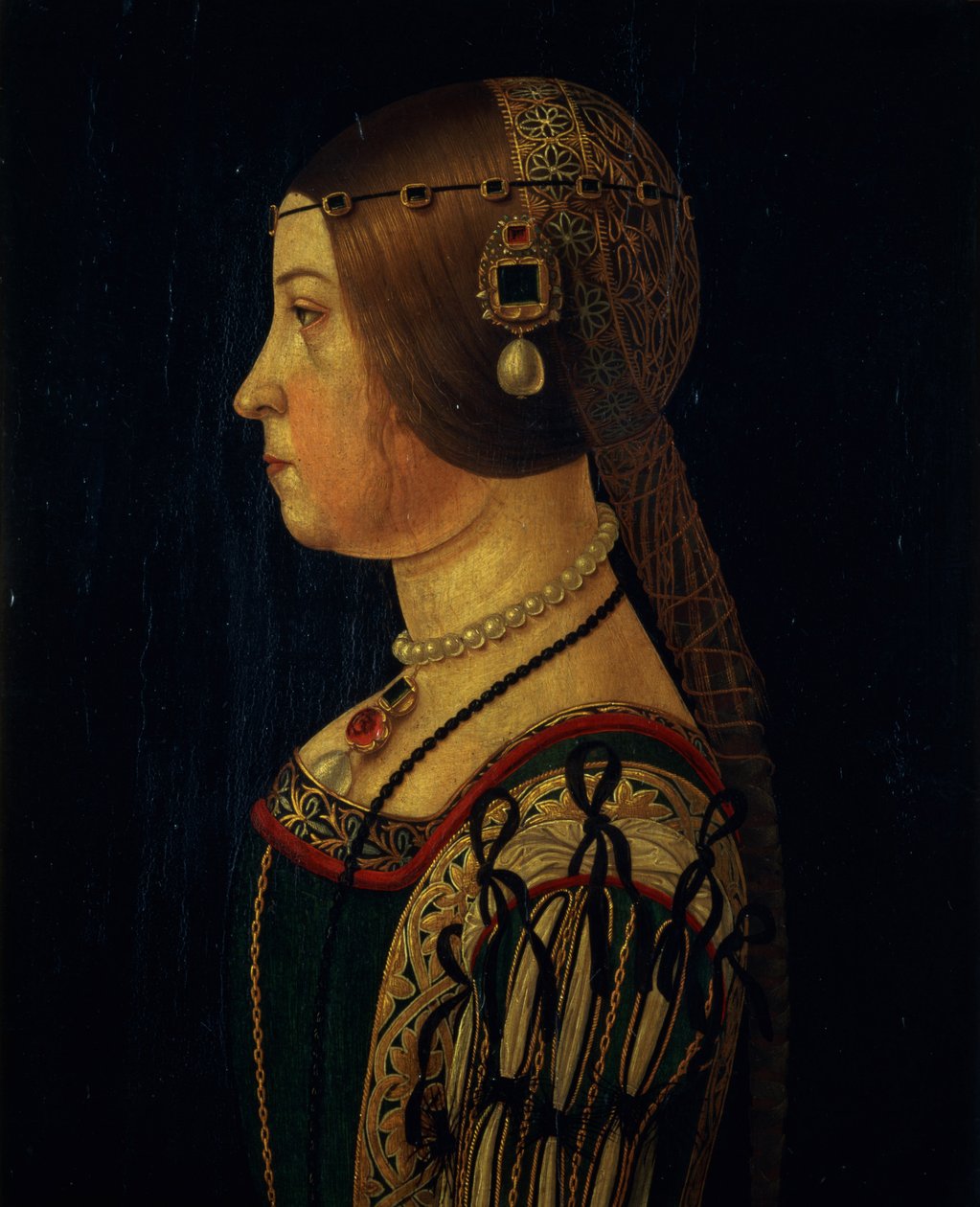 صورة باربرا بالافيتشينو ، c.1520-28 (لوحة) بواسطة أليساندرو ، أرالدي
