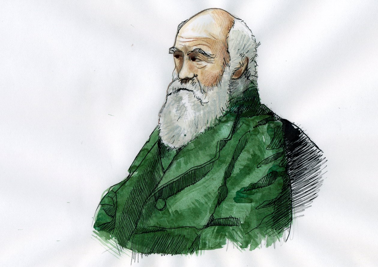 صورة لتشارلز داروين - صورة لعالم الطبيعة الإنجليزي تشارلز داروين (1809-1882) رسم توضيحي بواسطة أليساندرو لوناتي