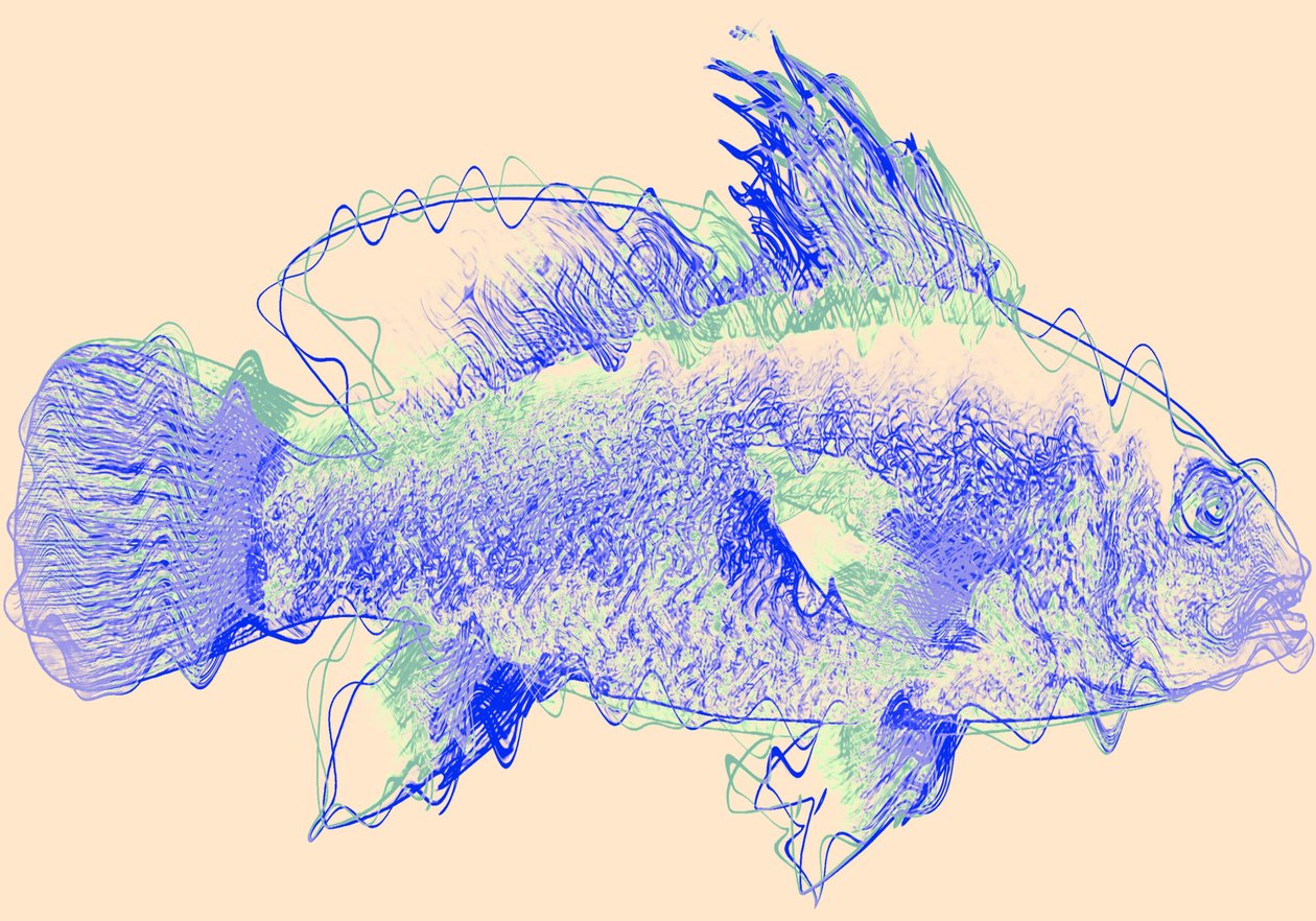 fish IV، 2020 (وسائط مختلطة) بواسطة أليكس كامينكر