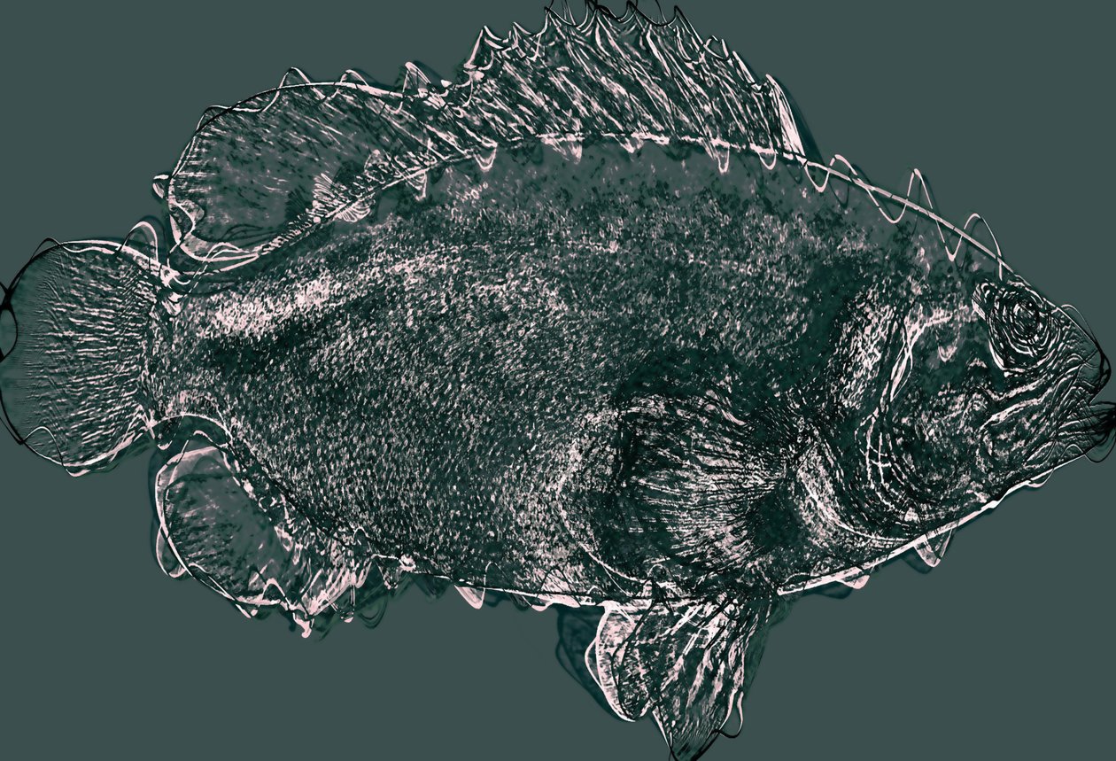 fish in green، 2020، (وسائط مختلطة) بواسطة أليكس كامينكر