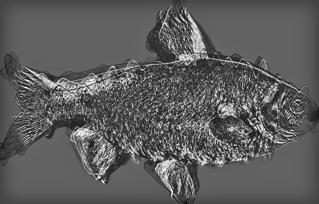 fish in grey، 2020، (وسائط مختلطة) بواسطة أليكس كامينكر