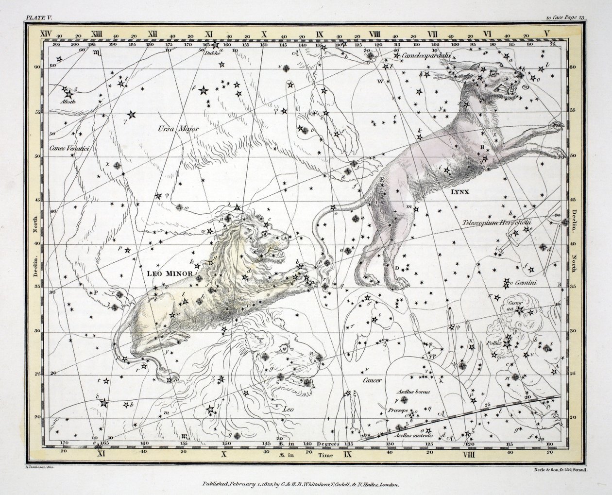 The Constellations (اللوحة V) Lynx ، Leo Minor ، من "A Celestial Atlas" ألكسندر جاميسون ، حانة. لندن 1822 (النقش اليدوي) ؛ بواسطة ألكسندر جاميسون