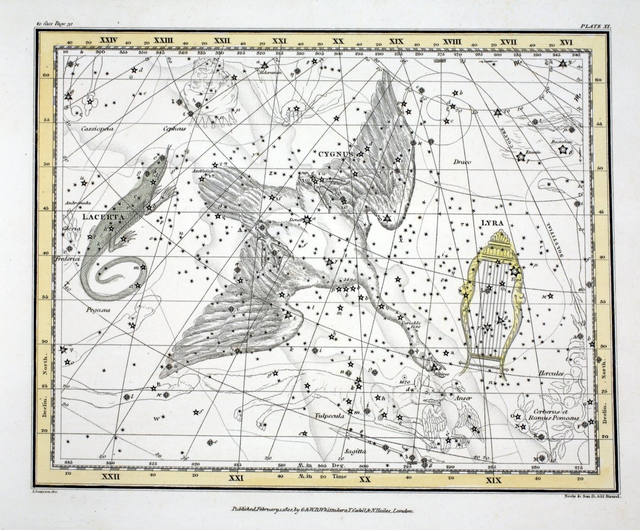 The Constellations (اللوحة XI) Cygnus و Lacerta و Via Lactea من "أطلس سماوي" تأليف ألكسندر جاميسون ، حانة. لندن 1822 (النقش اليدوي) بواسطة ألكسندر جاميسون