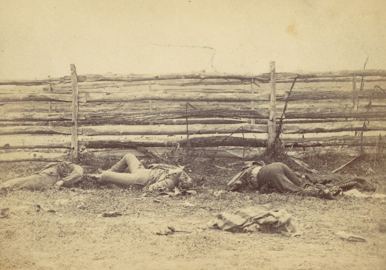 منظر في الميدان ، على الجانب الغربي من طريق هاجرستاون ، بعد معركة أنتيتام ، ... ، 1862. بواسطة الكسندر جاردنر