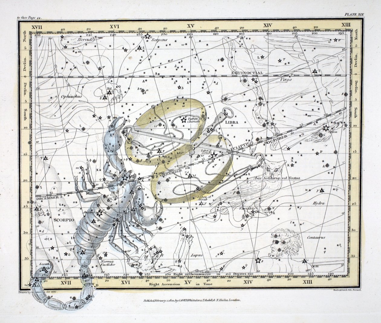 The Constellations (اللوحة XIX) الميزان والعقرب ، من "أطلس سماوي" تأليف ألكسندر جاميسون ، حانة. لندن 1822 (النقش اليدوي) بواسطة ألكسندر جاميسون