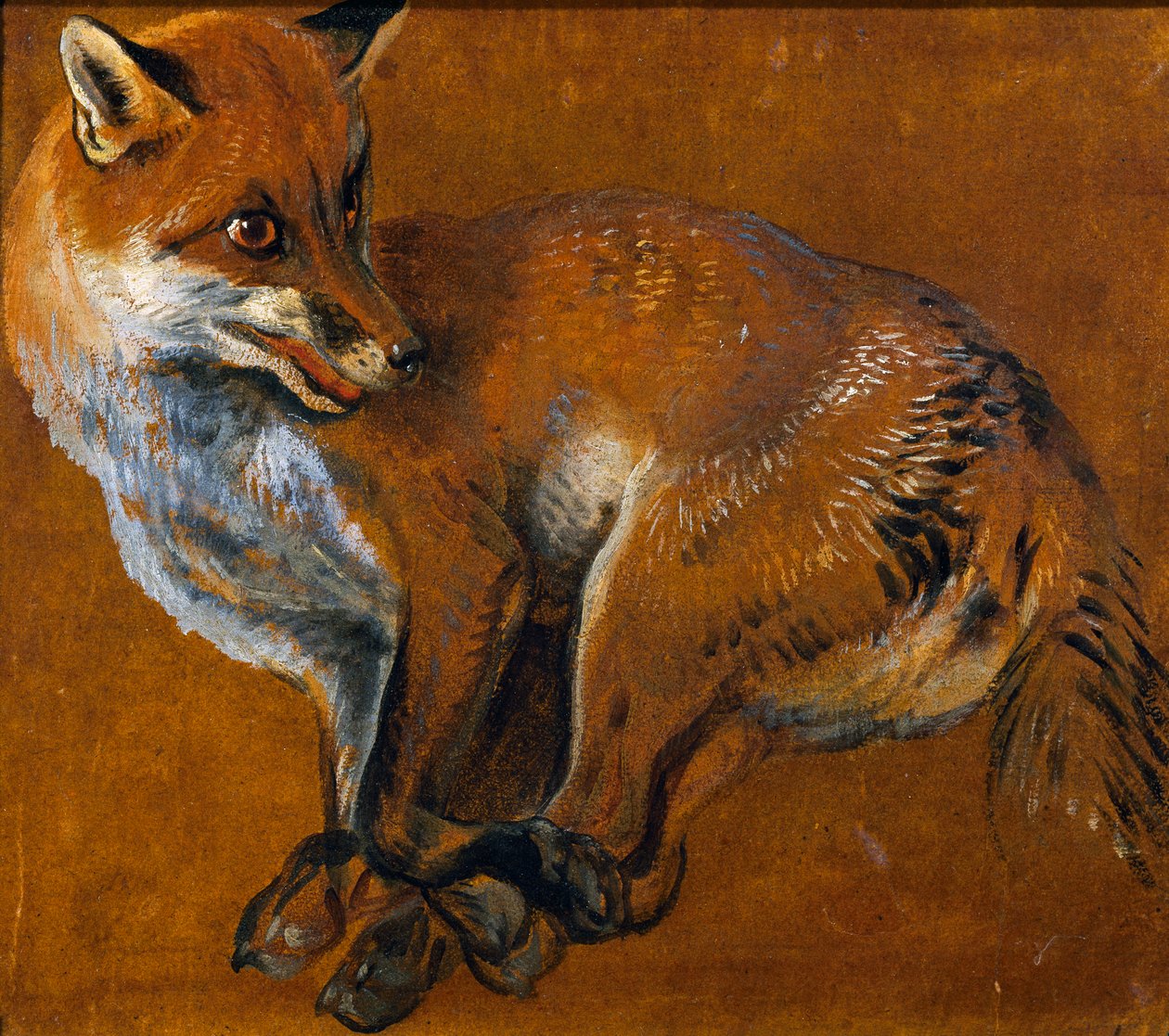 Fox with legs tied, by Alexandre-Francois Desportes (1661-1743), France بواسطة الكسندر فرانسوا ديسبورتس