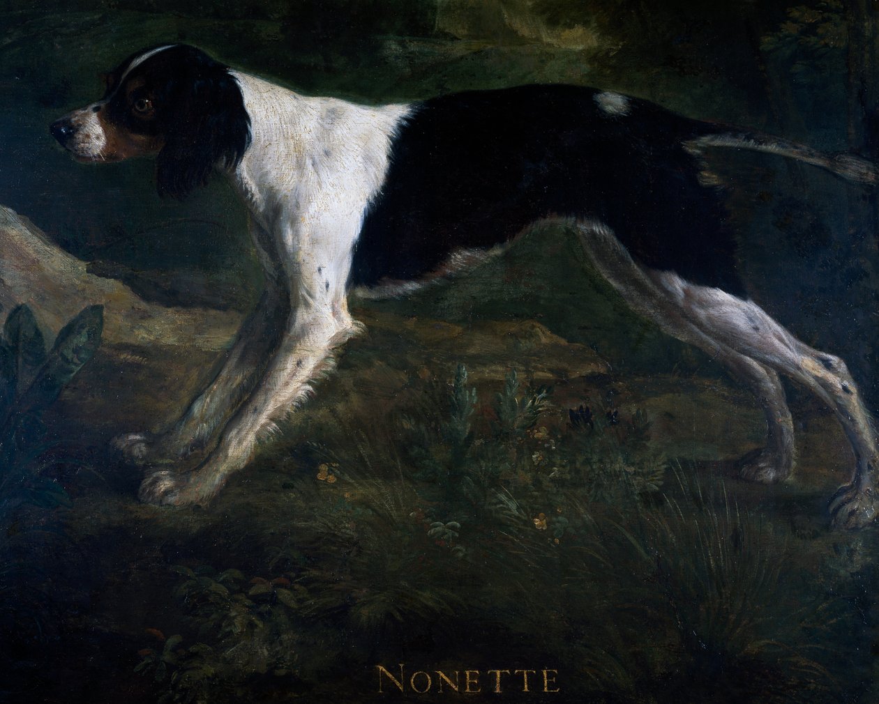 Nonette, painted over royal antechamber door for castle of Marly by Alexandre-Francois Desportes (1661-1743), France بواسطة الكسندر فرانسوا ديسبورتس