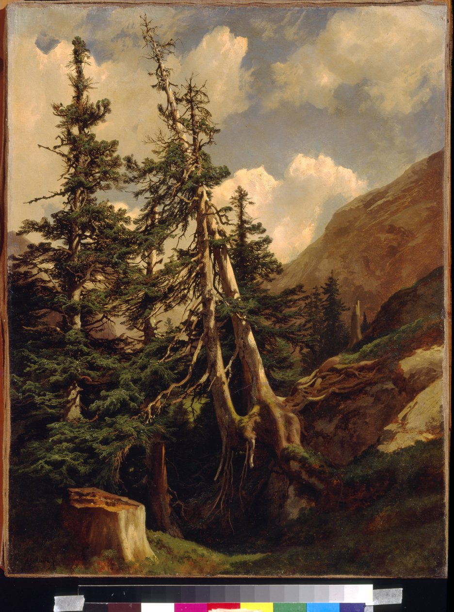التنوب في الجبال بواسطة كالام ، الكسندر (1810-1864). زيت على قماش ، الأبعاد: ٦٨،٥ × ٥٣. State A. متحف بوشكين للفنون الجميلة ، موسكو بواسطة الكسندر كالامي