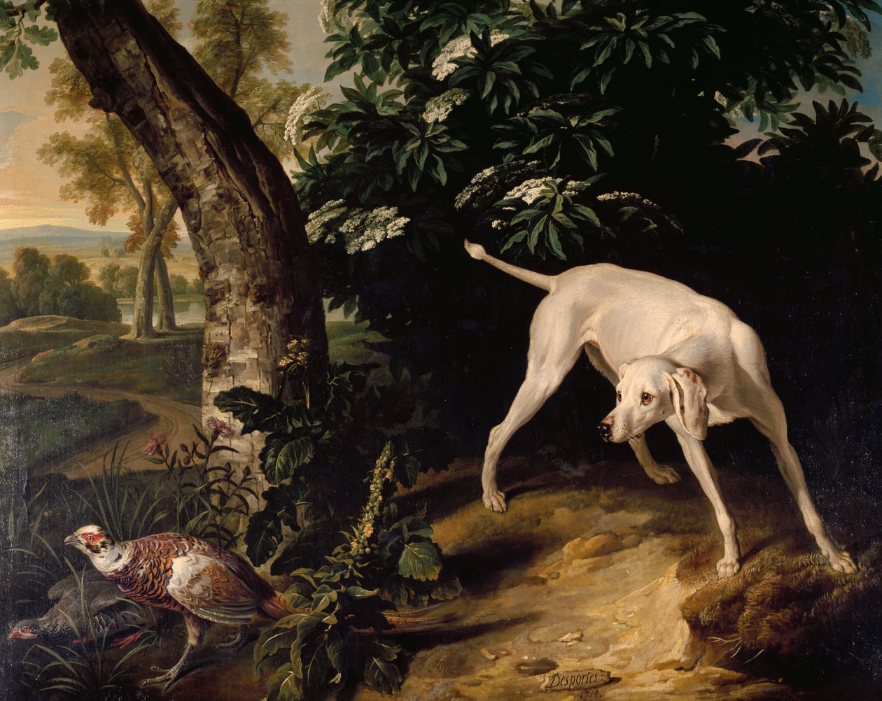 Hunting scene, detail from painting by Alexandre-Francois Desportes (1661-1743), France بواسطة الكسندر فرانسوا ديسبورتس