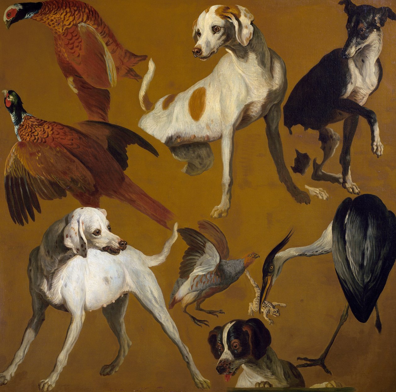 Study of birds and dogs, by Alexandre-Francois Desportes (1661-1743), France بواسطة الكسندر فرانسوا ديسبورتس