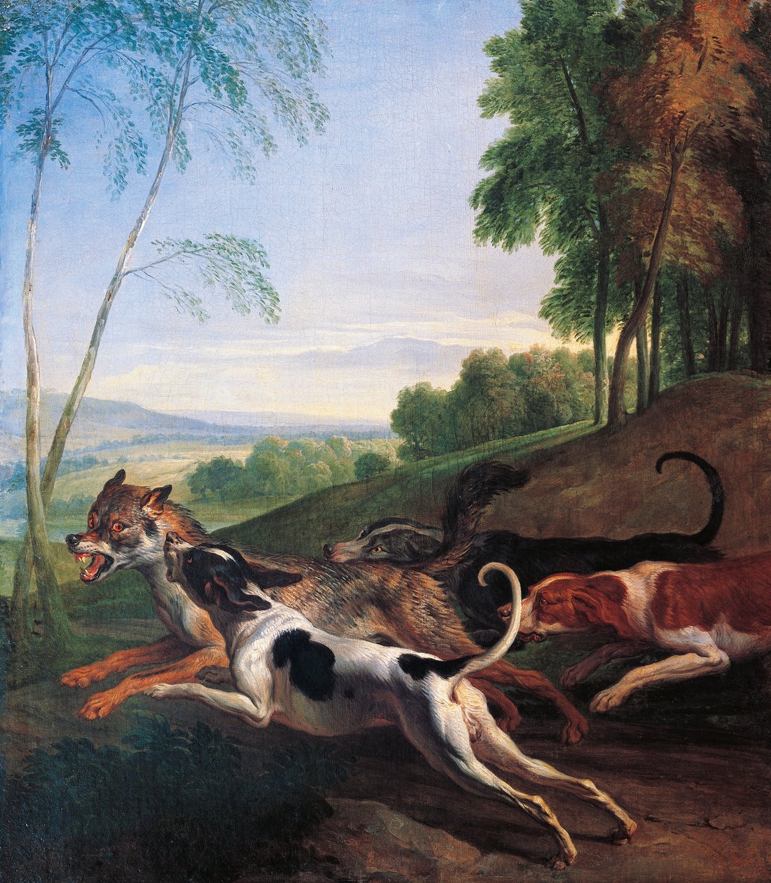 Wolf hunting, painting by Alexandre-Francois Desportes (1661-1743), France بواسطة الكسندر فرانسوا ديسبورتس