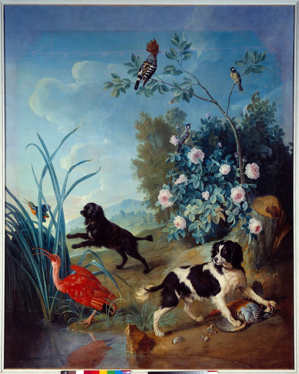 زربين وجيميتي ، كلاب الملك لويس الرابع عشر لوحة لفرانسوا ديسبورتس (1661-1743) 1739 كومبين ، متحف القصر الوطني بواسطة الكسندر فرانسوا ديسبورتس