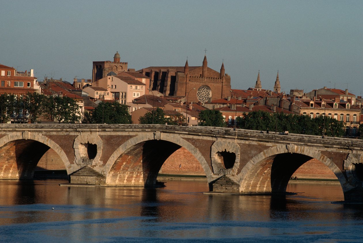Pont-Neuf over Garonne river, Toulouse, Midi-Pyrenees, France بواسطة الكسندر جبرائيل (بعد) ديكامبس