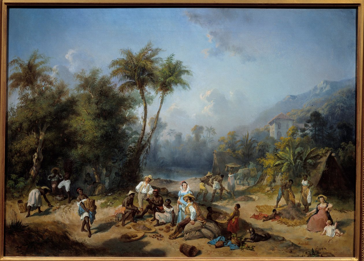 مزرعة كاكاو في جزر الهند الغربية لوحة رسمها الكسندر بالانس (1822-1893) شمس القرن التاسع عشر. 0،5x0،7 م لا روشيل ، متحف دو نوفو موند - مزرعة كاكاو في جزر الهند الغربية. الرسم بواسطة الكسندر بالانس (1822-1893) بواسطة الكسندر سولدي