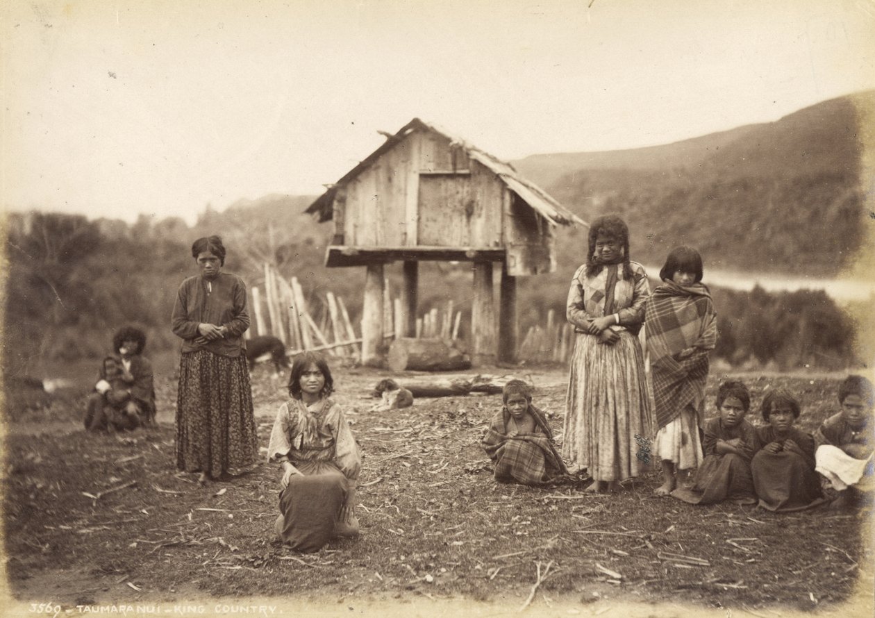 Taumaranui - King Country ، 29 مايو 1885 (طبعة زلال) بواسطة ألفريد بيرتون