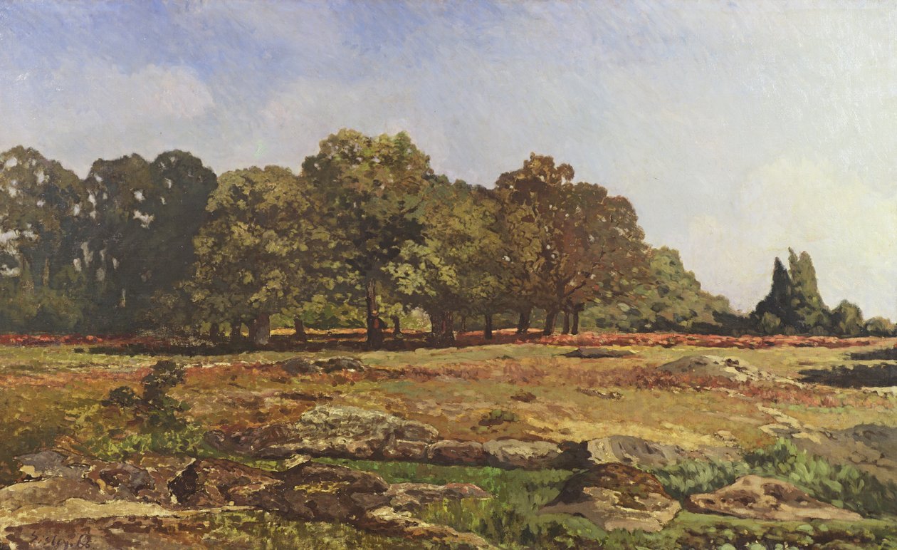 شارع أشجار الكستناء في La Celle-Saint-Cloud ، c.1866-67 بواسطة الفريد سيسلي