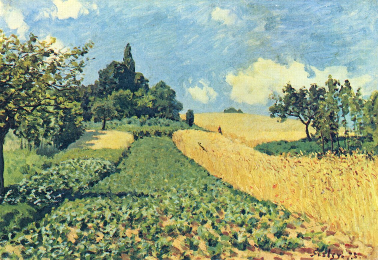 Cornfields على تلال Argenteuil بواسطة الفريد سيسلي