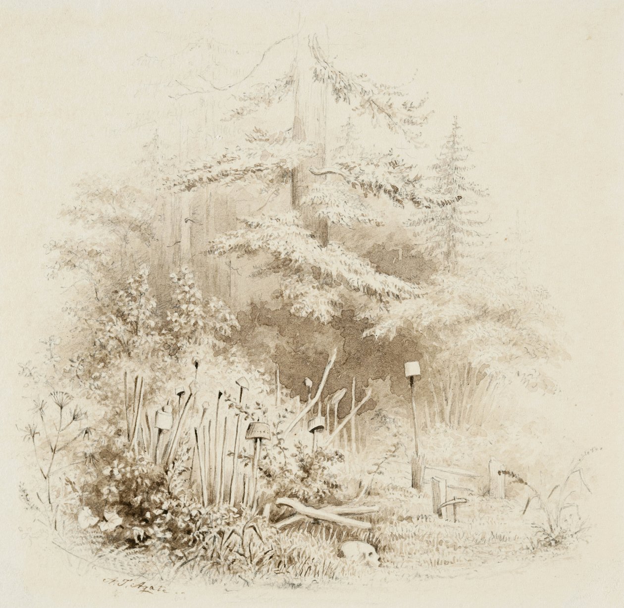 مكان الدفن الهندي ، أوريغون ، 1841 (فرشاة وغسل بني ، مع الجرافيت ، على ورق نسج كريمي) بواسطة ألفريد توماس عقيق