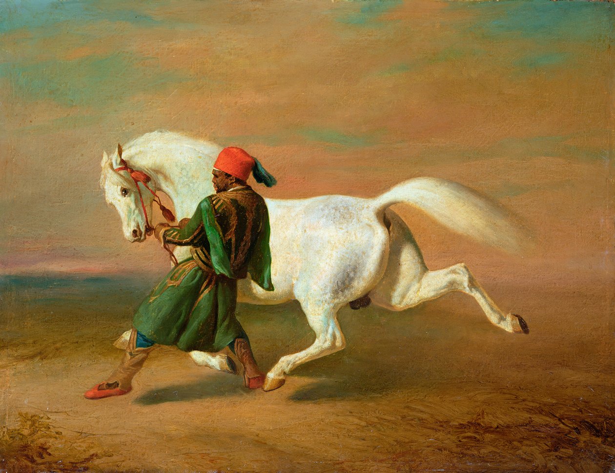 صورة غير معروفة بواسطة ألفريد ديدرو