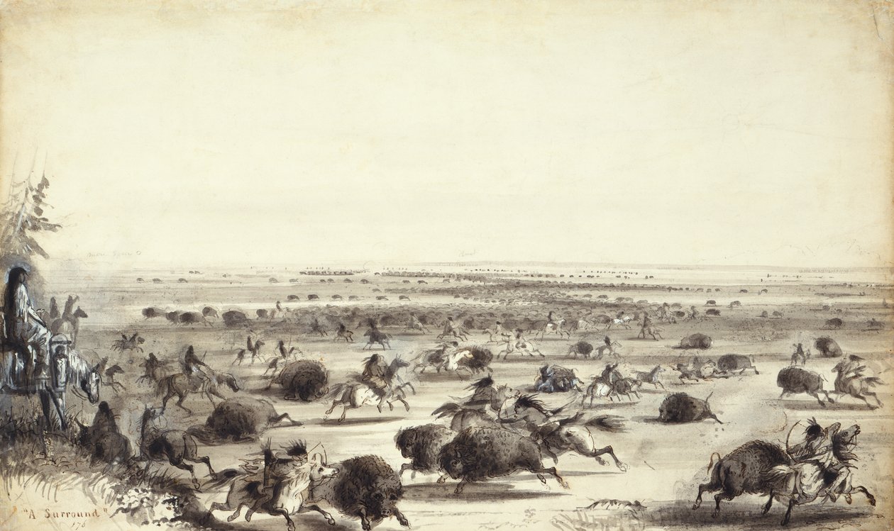 "محيط" الجاموس من قبل الهنود ، حوالي 1858 (غسيل على الورق) بواسطة ألفريد جاكوب ميلر