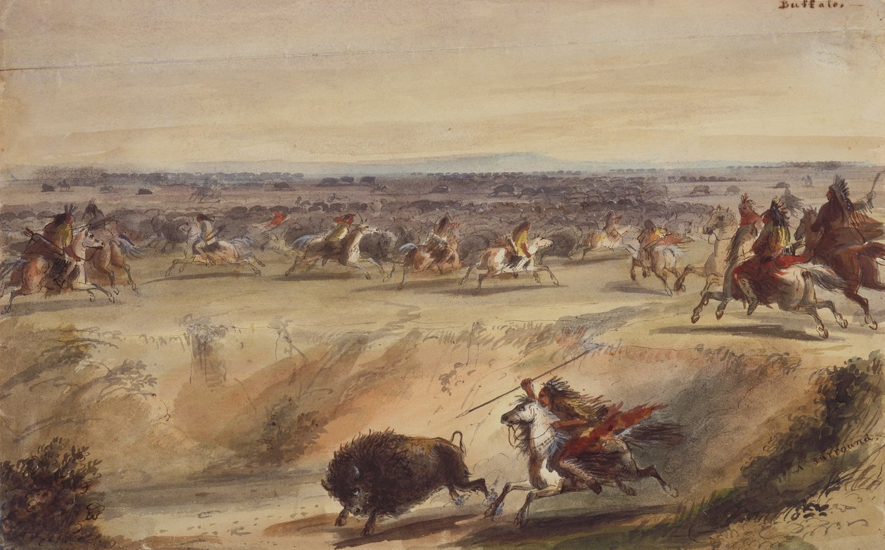 محيط أو صيد الجاموس ، حوالي عام 1839 (قلم رصاص وقلم وحبر وألوان مائية وغواش على ورق) بواسطة ألفريد جاكوب ميلر