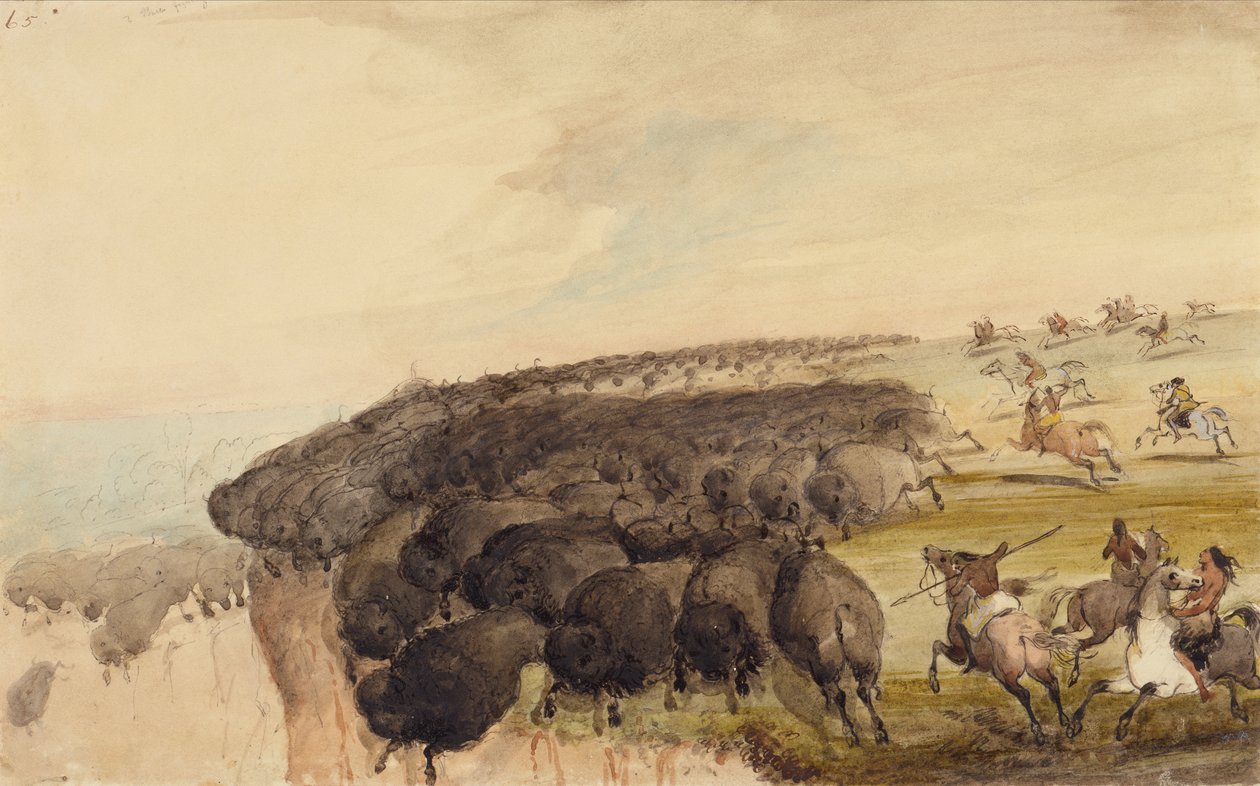 قيادة قطعان الجاموس فوق الهاوية حوالي عام 1837 (قلم رصاص وقلم وحبر وألوان مائية على ورق) بواسطة ألفريد جاكوب ميلر