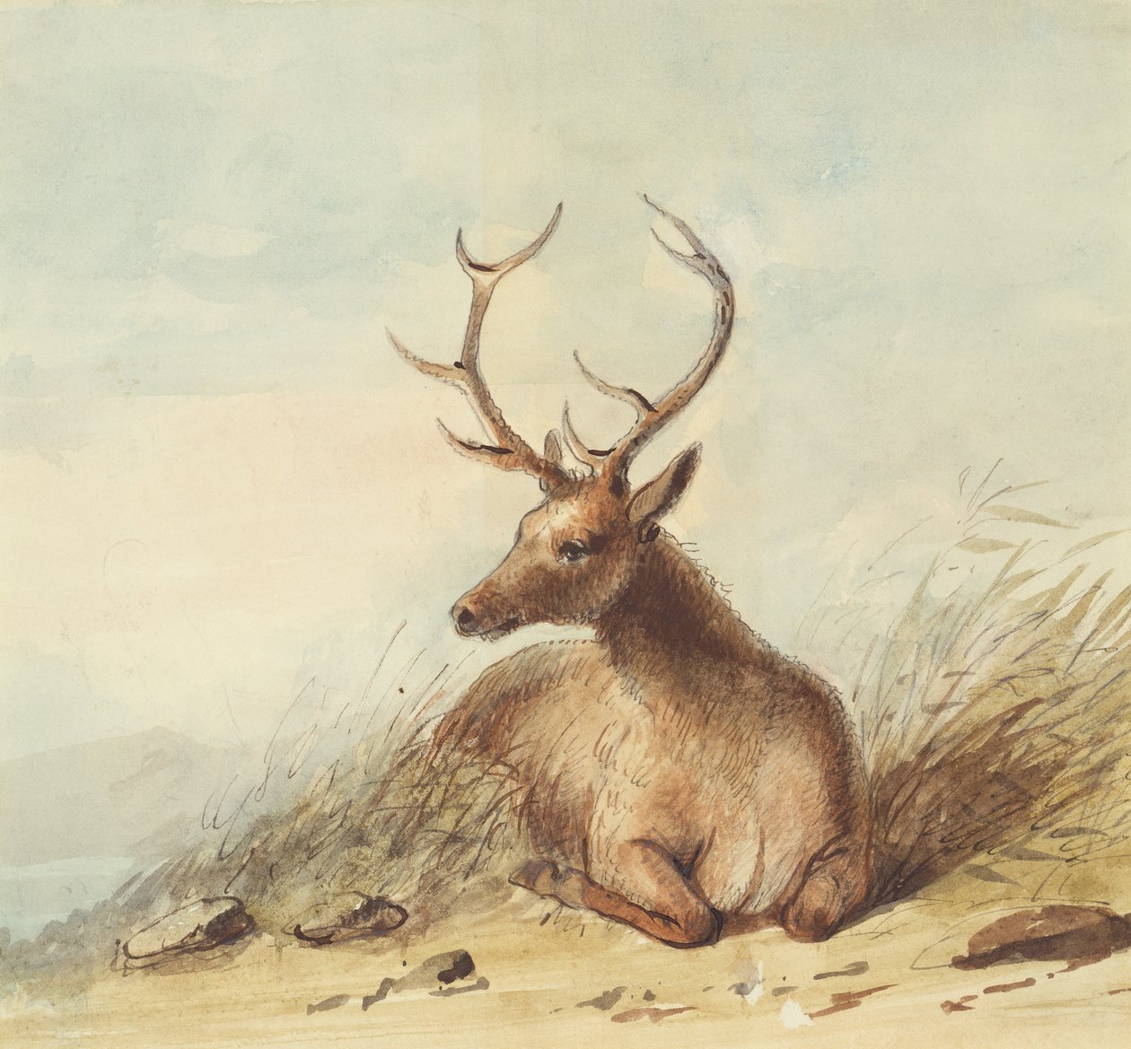إلك ، جبال روكي ، حوالي عام 1837 (قلم رصاص وقلم حبر وحبر وألوان مائية على ورق) بواسطة ألفريد جاكوب ميلر
