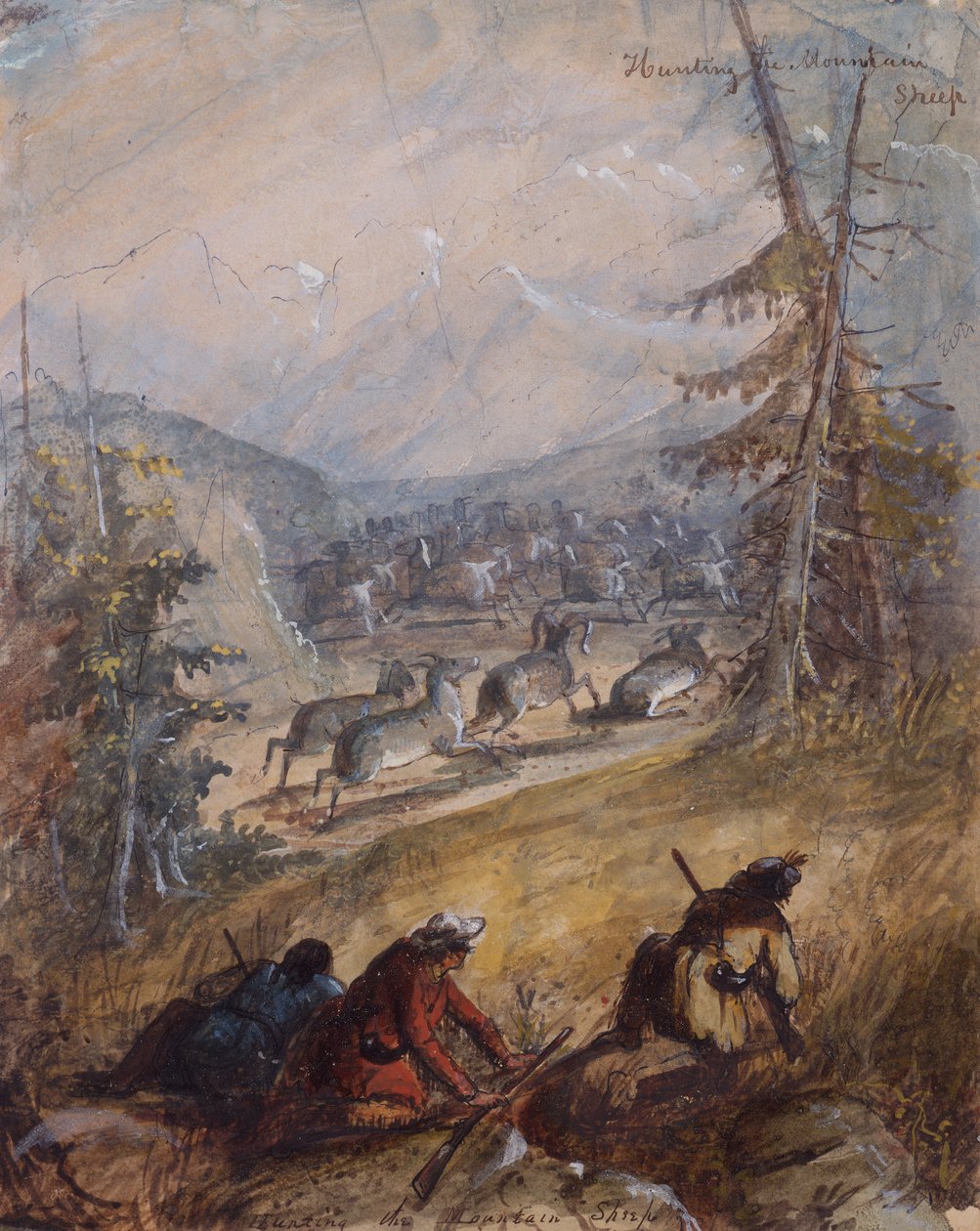 صيد غنم الجبل ، حوالي عام 1837 (قلم رصاص وقلم حبر وحبر وألوان مائية وغواش على ورق) بواسطة ألفريد جاكوب ميلر