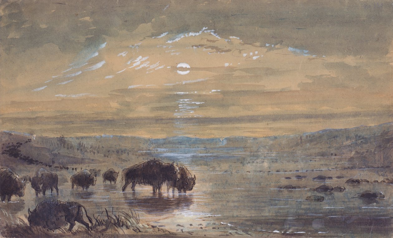 مشهد ليلي ، الجاموس على المرج ، حوالي عام 1837 (ألوان مائية على ورق) بواسطة ألفريد جاكوب ميلر