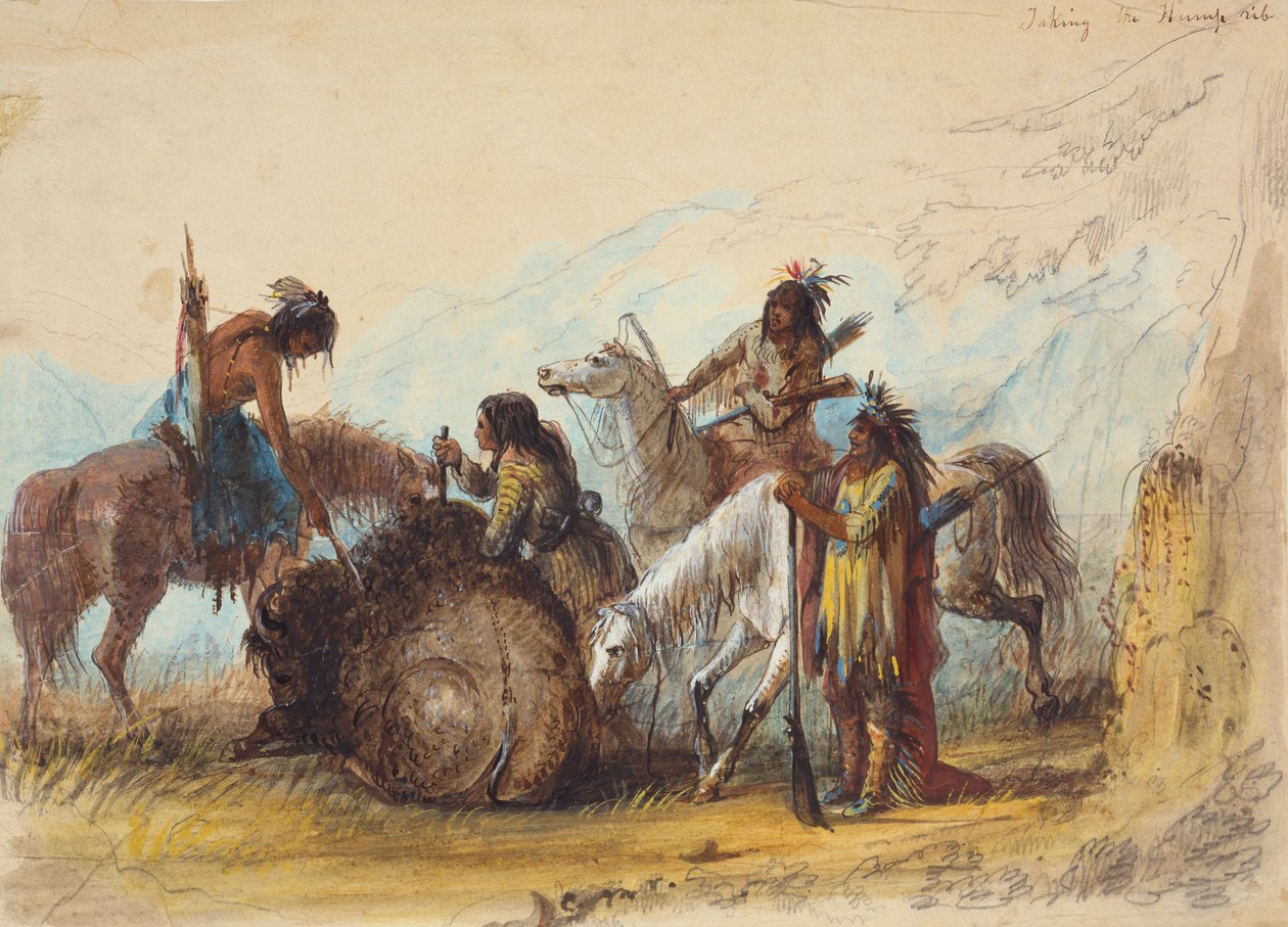أخذ أضلاع الحدبة حوالي 1858 (قلم رصاص وألوان مائية وغواش على ورق) بواسطة ألفريد جاكوب ميلر