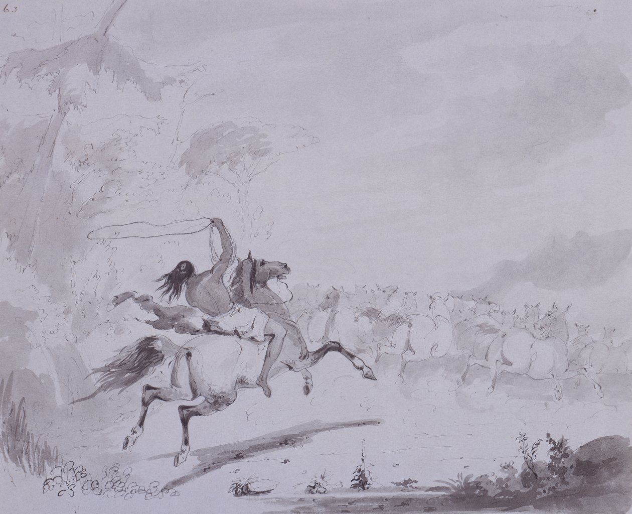رمي اللاسو ، حوالي عام 1837 (قلم وحبر مع طلاء رمادي على بطاقة رمادية) بواسطة ألفريد جاكوب ميلر