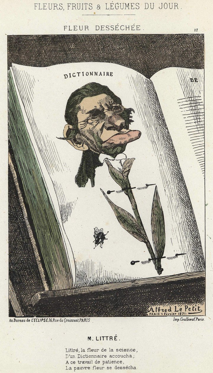 زهرة Déséchée: رسم كاريكاتوري على Littré - ill. من 01/02/1871 في "زهور اليوم وفاكهة وخضروات" بواسطة ألفريد لو بيتيت