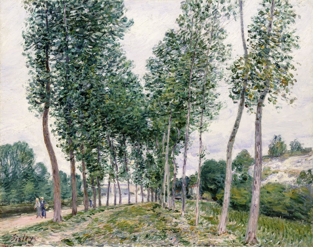 زقاق Poplars على طول Loing ، 1892 بواسطة الفريد سيسلي