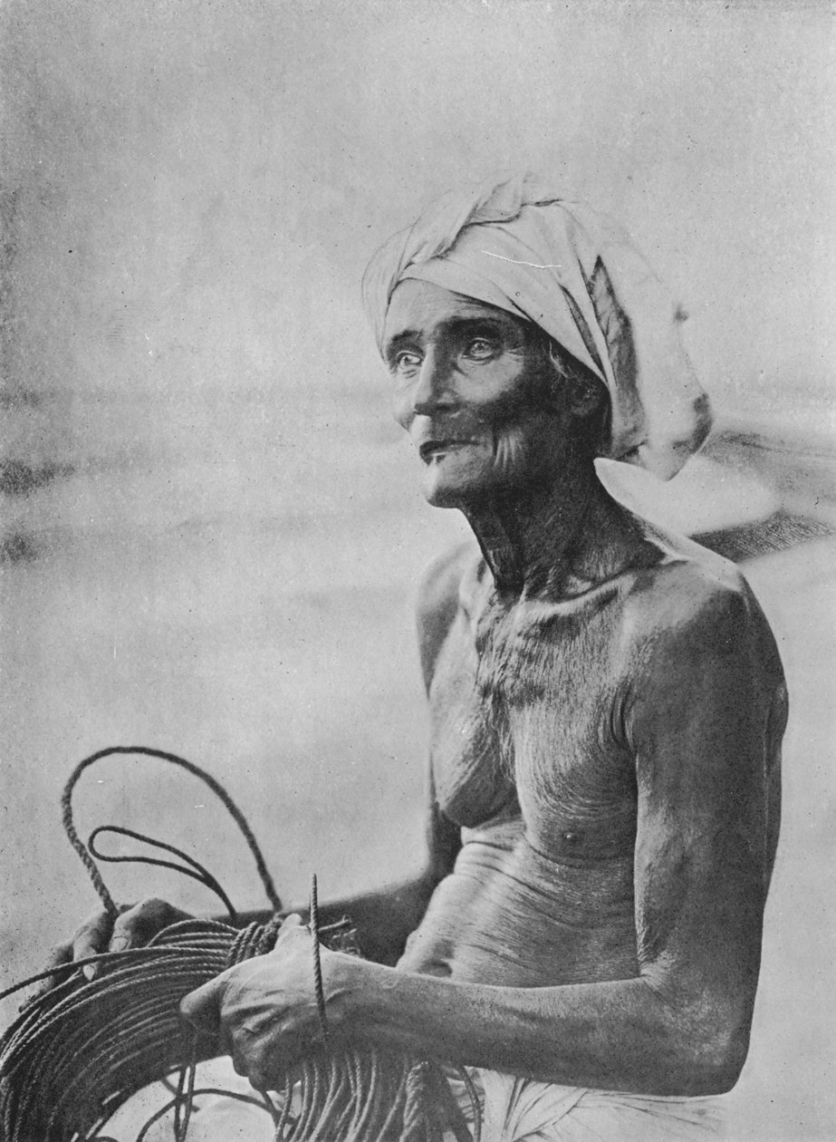 صياد ، c1890 ، 1910 بواسطة لوحة ألفريد ويليام أماندوس