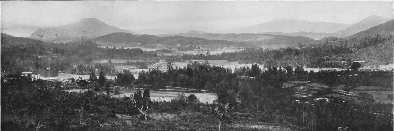 منظر عام لنوارا إليا ، c1890 ، 1910 بواسطة لوحة ألفريد ويليام أماندوس