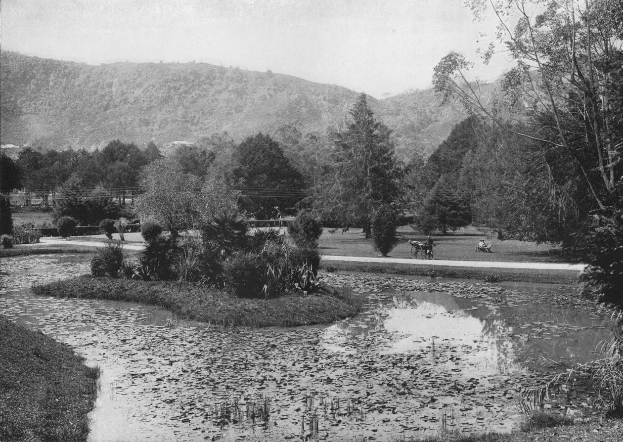حدائق الهاكلا من لوتس بوند ، نوارا إليا ، c1890 ، 1910 بواسطة لوحة ألفريد ويليام أماندوس